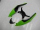2009-2012 Green Black Red Kawasaki ZX6R Bike Fairing